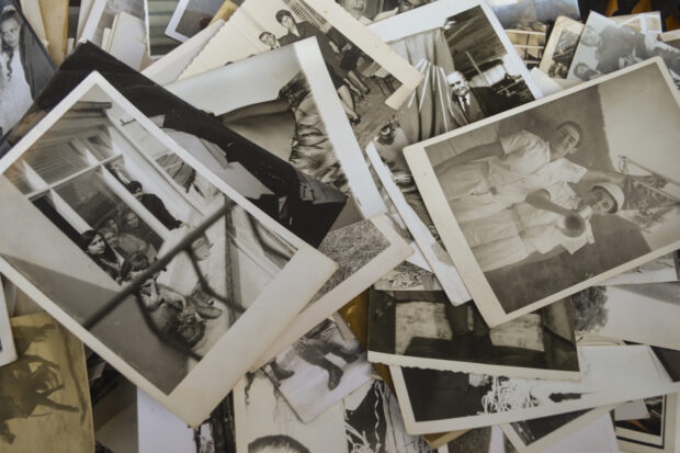alt="FamilySearch"